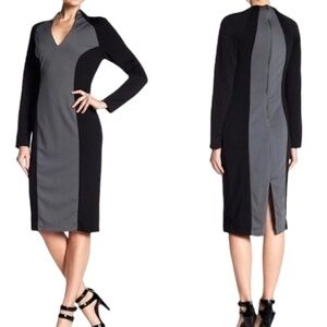 Alexia Admor New York Colorblock Long Sleeve Dress Size M NWT